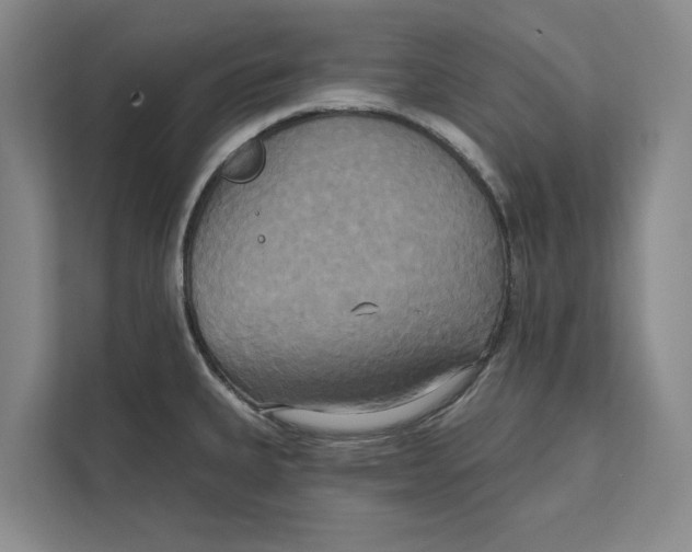 X0000111481335200908041114