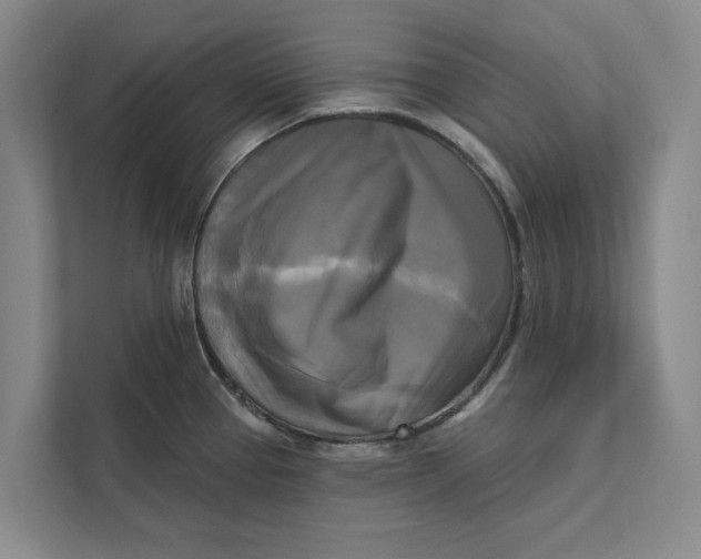 X0000111481337200908041114