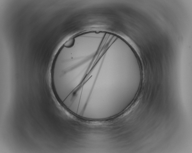 X0000111481341200908041114