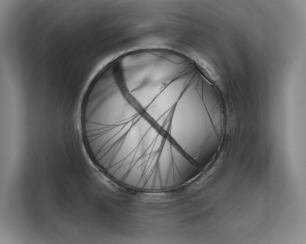 X0000111481342200908041114