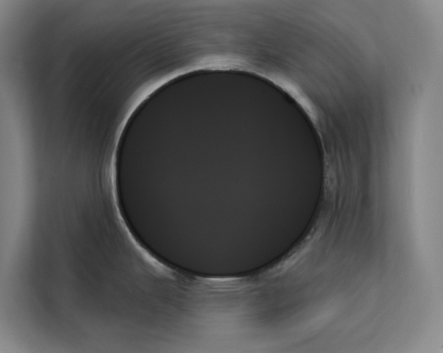 X0000111481343200908041114