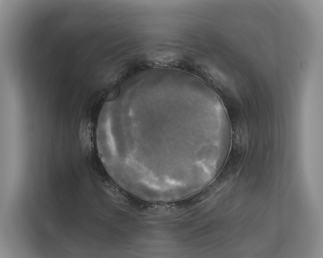 X0000111481346200908041114