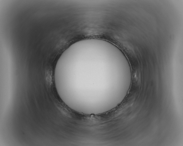 X0000111481348200908041114