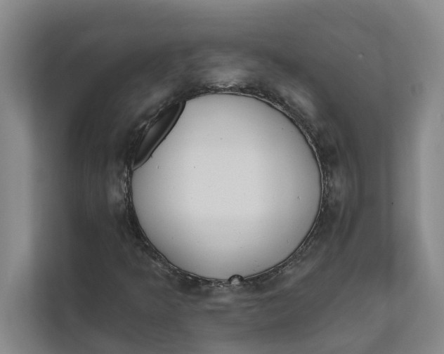 X0000111481349200908041114