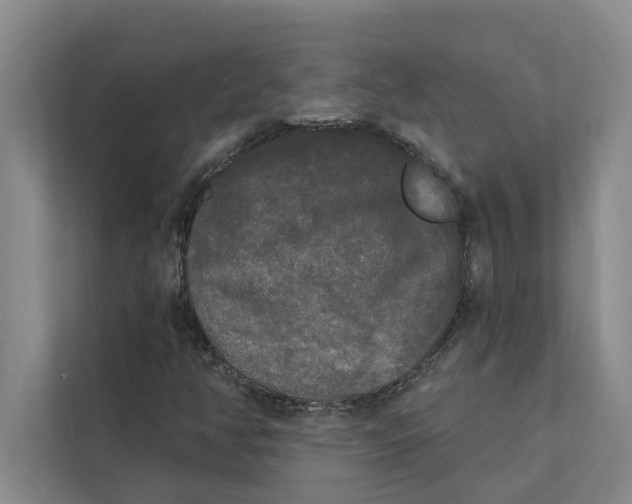 X0000111481350200908041114
