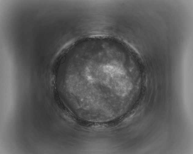 X0000111481351200908041114