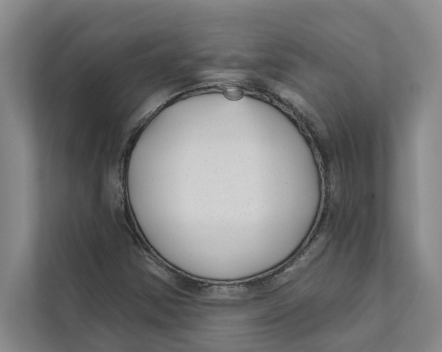 X0000111481354200908041114