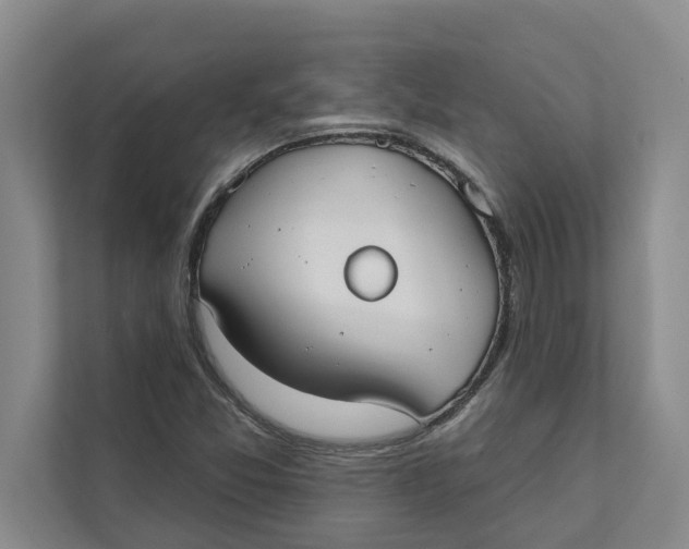 X0000111481357200908041114