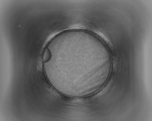 X0000111481358200908041114