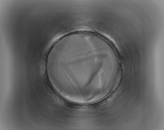 X0000111481359200908041114
