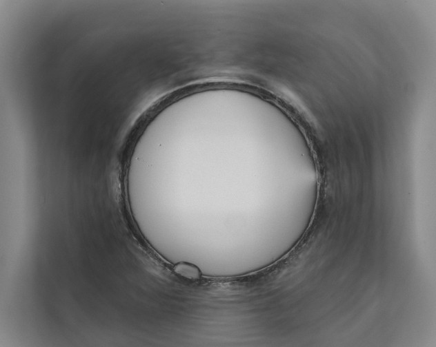 X0000111481360200908041114