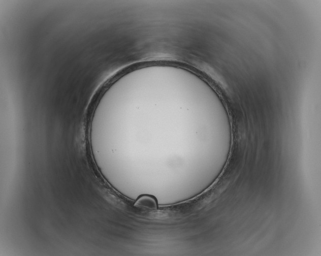 X0000111481364200908041113