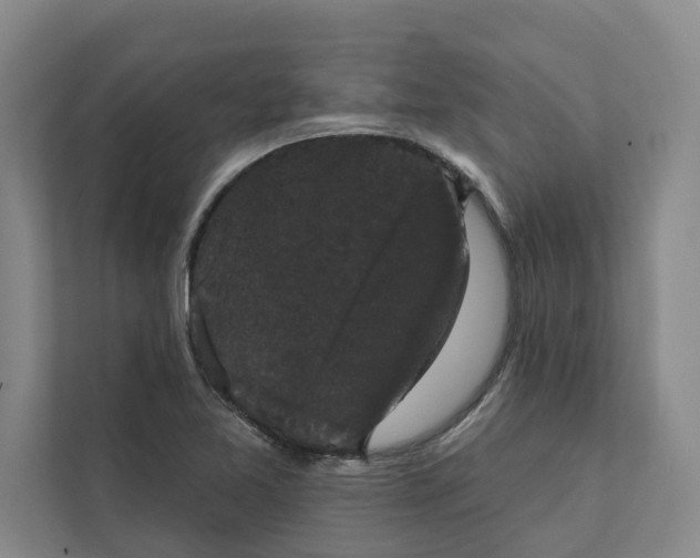 X0000111481365200908041113