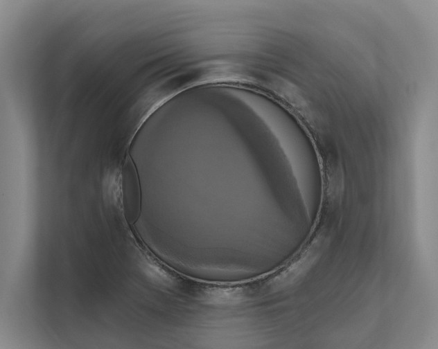 X0000111481369200908041113