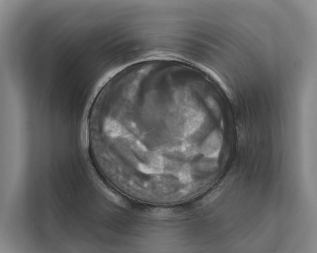 X0000111481371200908041113