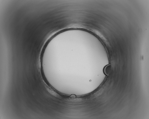 X0000111481372200908041113