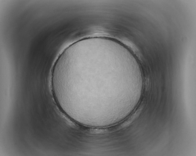 X0000111481374200908041113