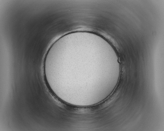 X0000111481375200908041113