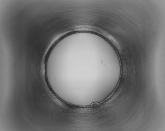 X0000111481376200908041113