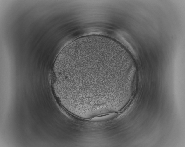 X0000111481377200908041113