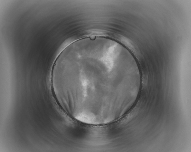 X0000111481378200908041113