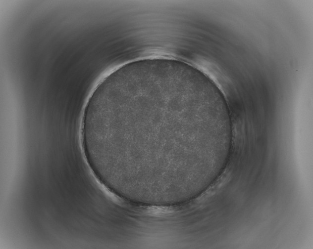 X0000111481379200908041113