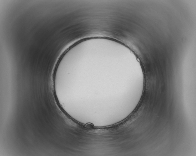 X0000111481380200908041113