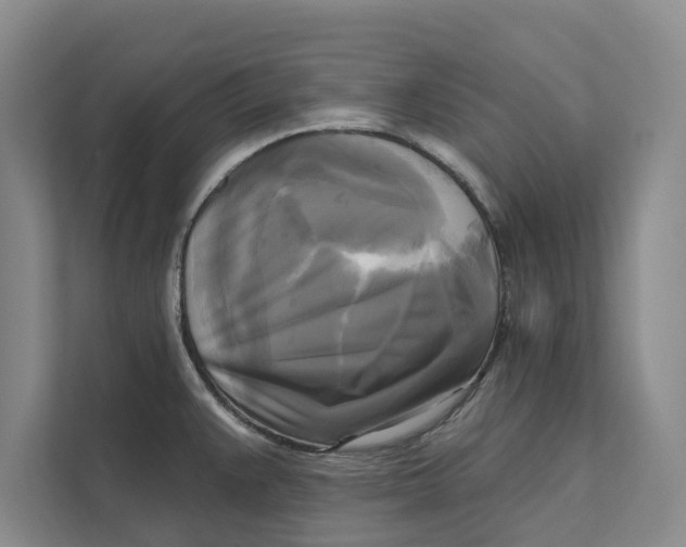 X0000111481383200908041113