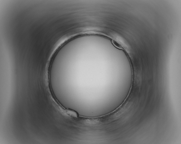 X0000111481384200908041113