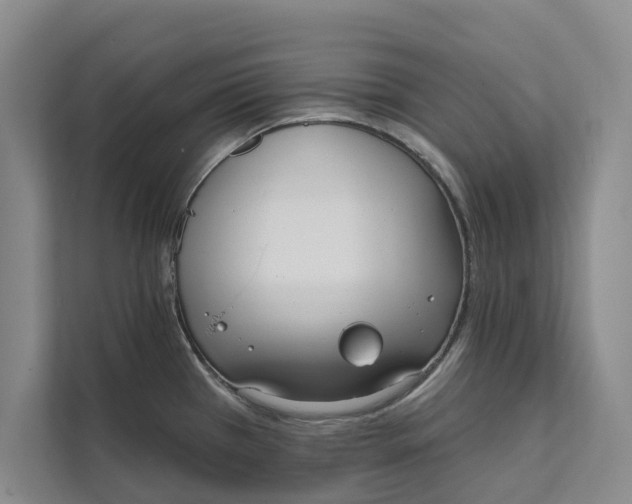 X0000111481385200908041113