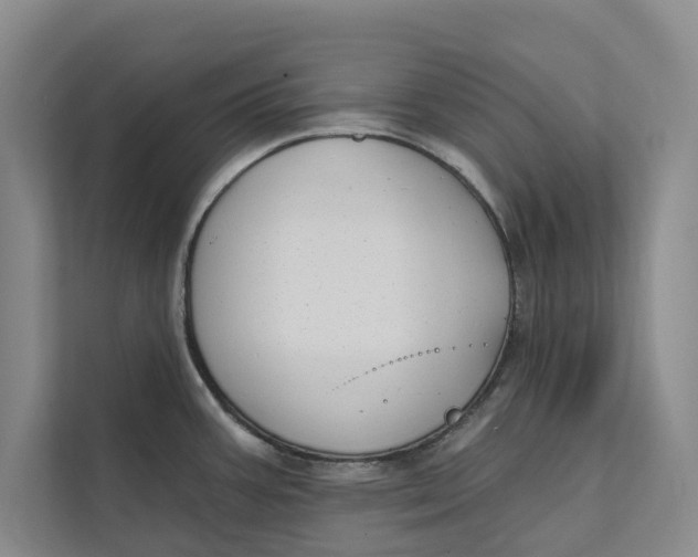 X0000111481387200908041113