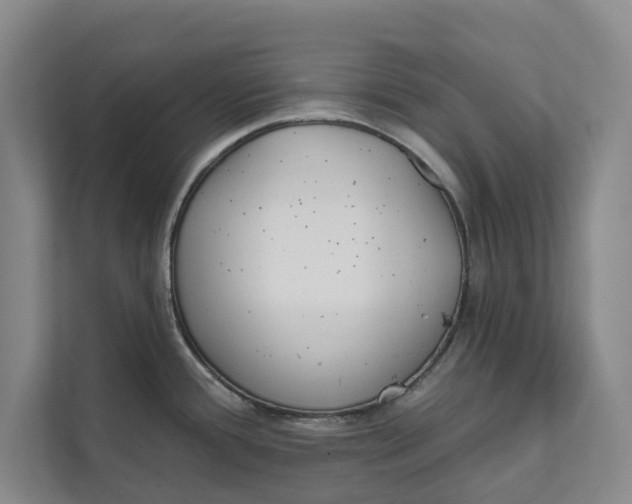 X0000111481388200908041113
