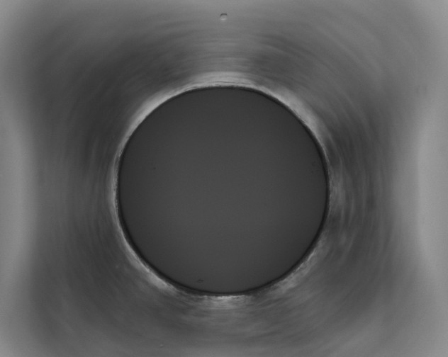 X0000111481390200908041113