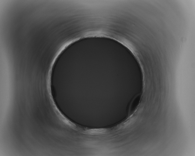 X0000111481392200908041113
