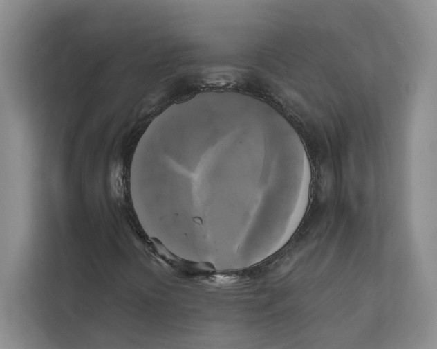 X0000111481394200908041113