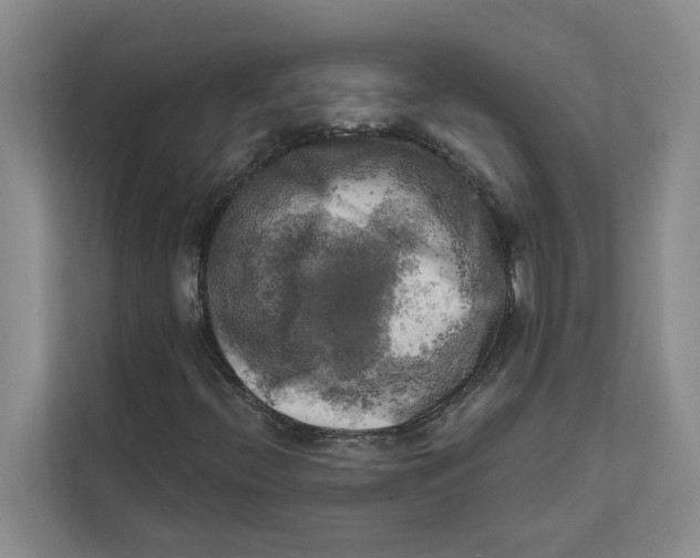 X0000111481396200908041113
