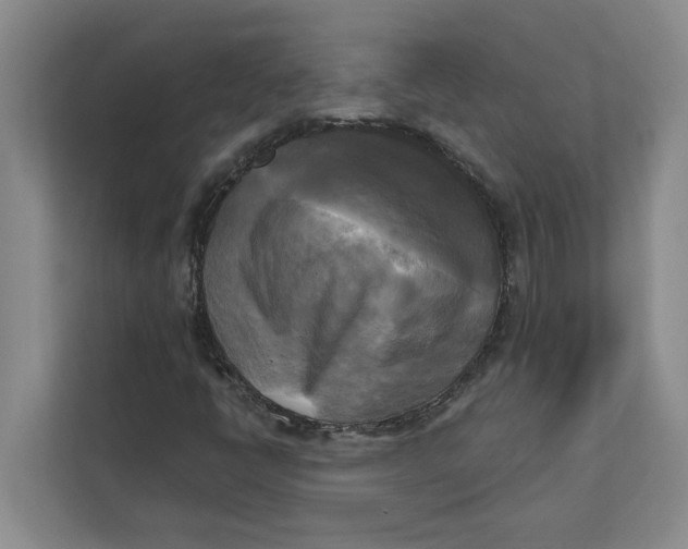 X0000111481398200908041113