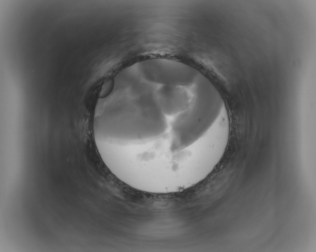 X0000111481399200908041113