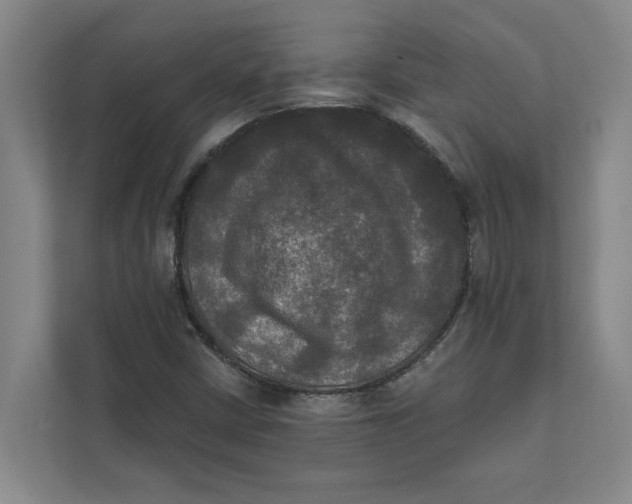X0000111481402200908041113