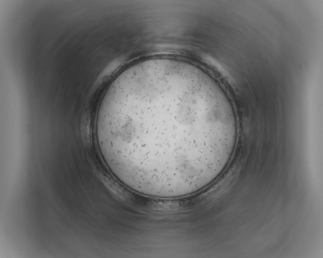 X0000111481403200908041113