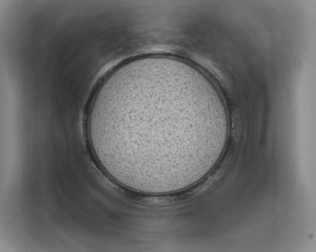 X0000111481404200908041113