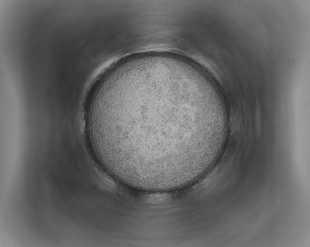 X0000111481406200908041113