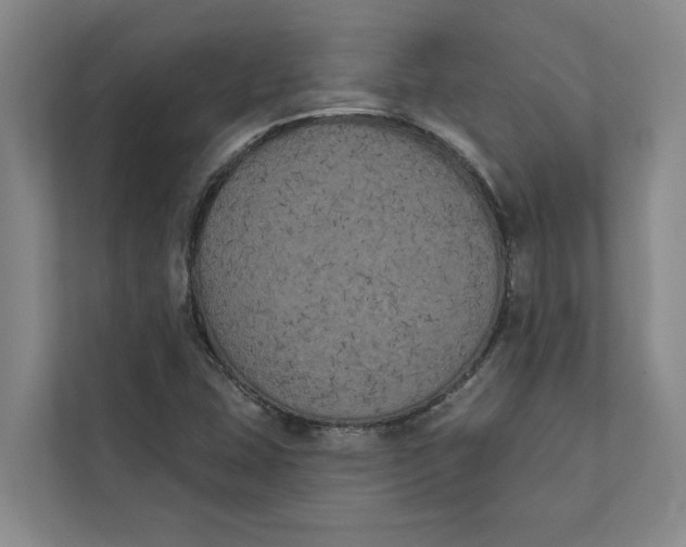 X0000111481407200908041113