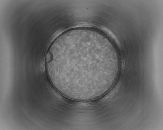 X0000111481409200908041113