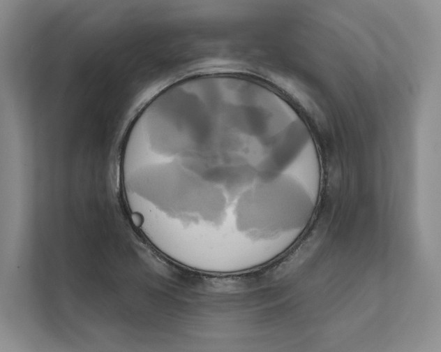 X0000111481413200908041113