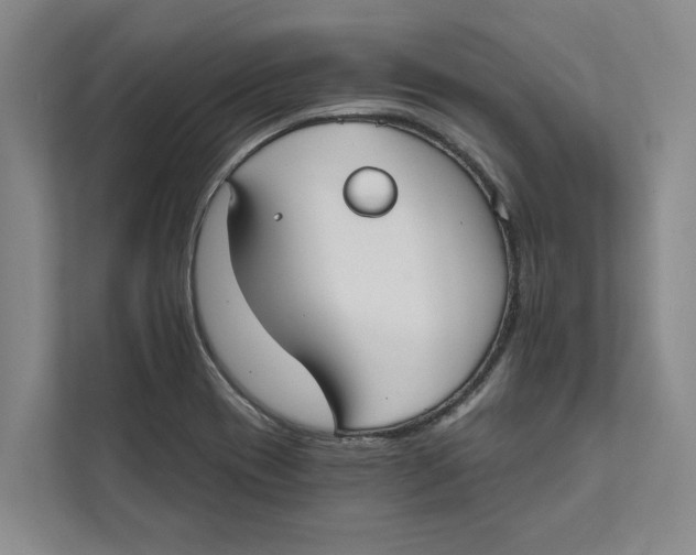 X0000111481417200908041113