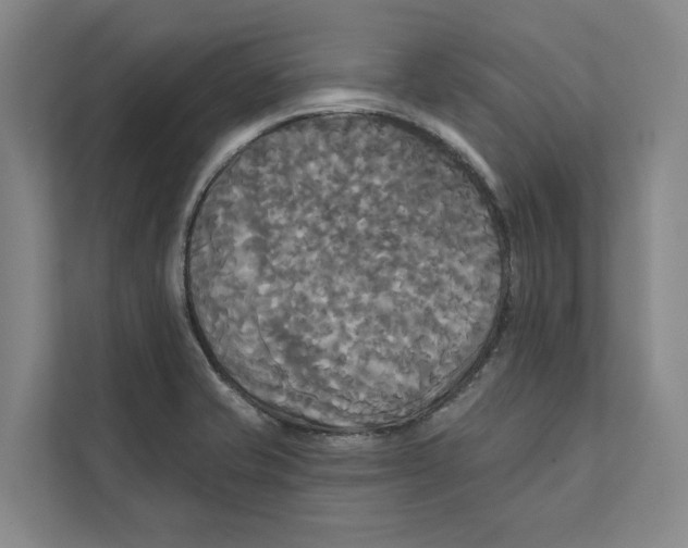 X0000111481421200908041113