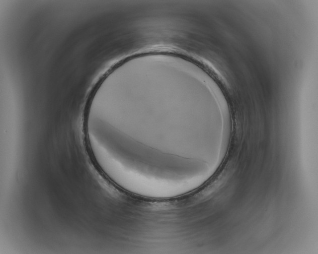 X0000111481422200908041113