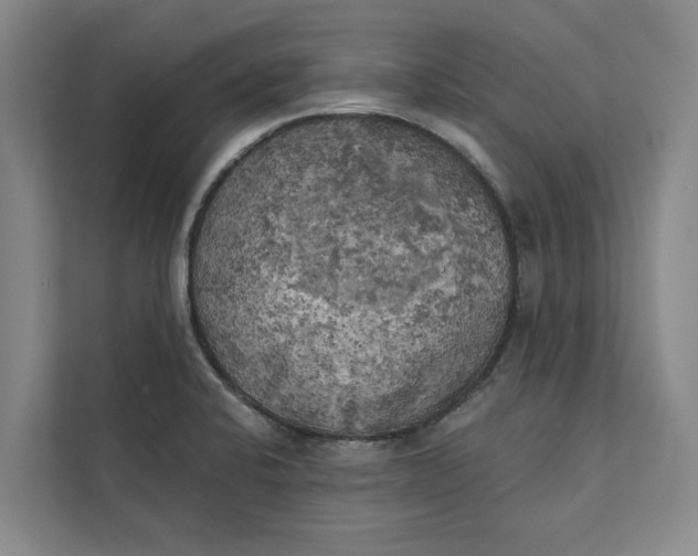 X0000111481424200908041113