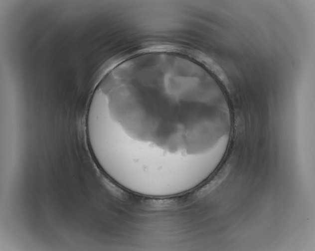 X0000111481425200908041113